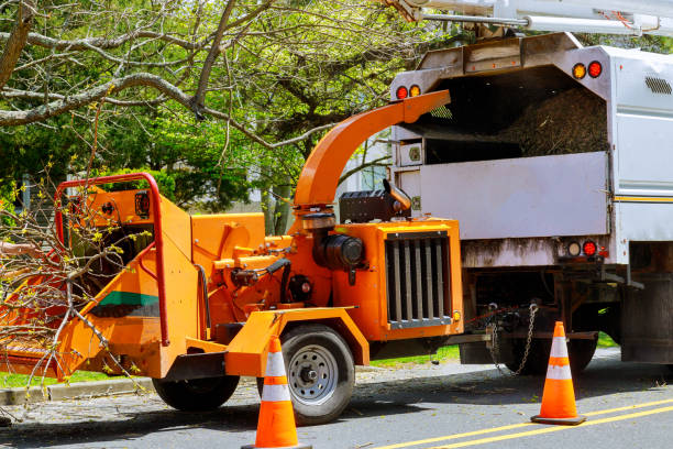 Leaf Removal in Wayland, MI